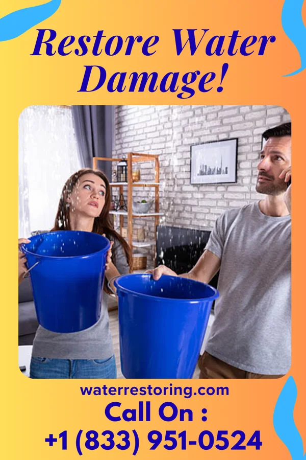 water restoration Lightning Emergency Restoration Experts Banner