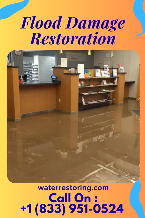 Flood Damage Restoration in Banner, IL