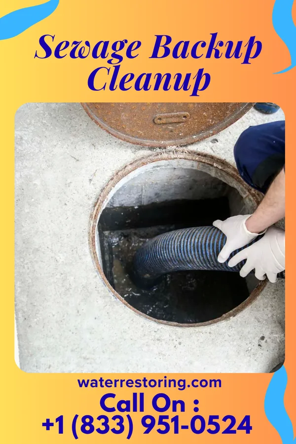 Sewage Backup Cleanup in Banner, IL