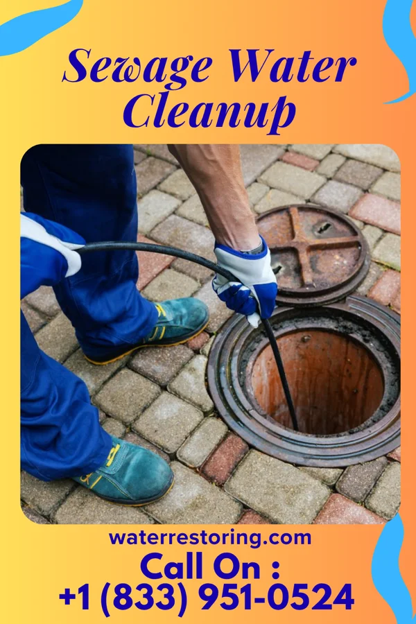 Sewage Water Cleanup in Banner, IL
